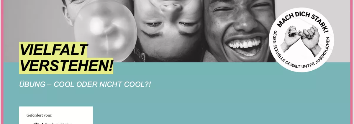 Titel: Vielfalt verstehen - Übung cool oder nicht cool